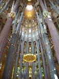 Sagrada Familia, Barcelona, Catalonia, Spain-Mark Mawson-Photographic Print