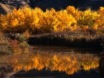 Autumn Colours of Drumheller Valley in Alberta, Drumheller Valley, Canada-Mark Newman-Photographic Print