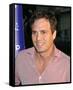 Mark Ruffalo-null-Framed Stretched Canvas