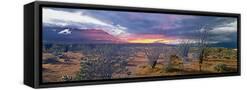 Canvas Black