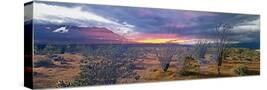 Stretched Canvas