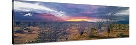 Stretched Canvas