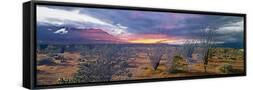 Canvas Black