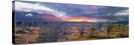 Stretched Canvas