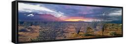 Canvas Black
