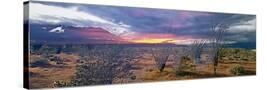 Stretched Canvas