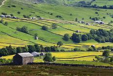 Swaledale in Summer from Askrigg High Road Near Muker-Mark Sunderland-Photographic Print