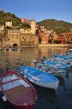 Terraced Vineyards at Corniglia-Mark Sunderland-Photographic Print