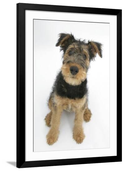 Photographic Print, , large