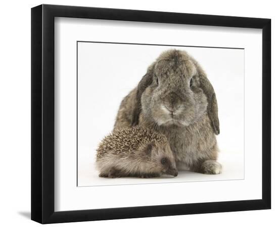 Premium Photographic Print, , large