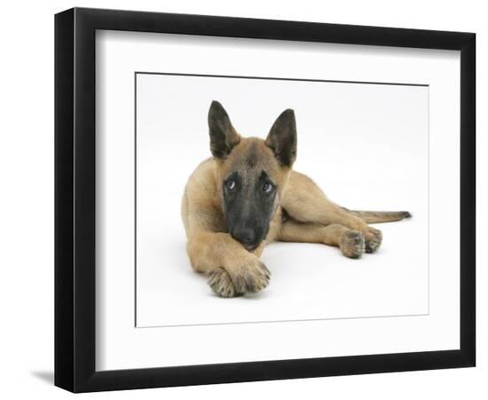 Premium Photographic Print, , large