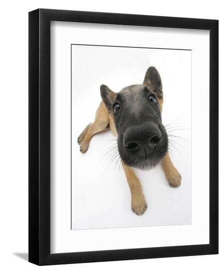 Premium Photographic Print, , large