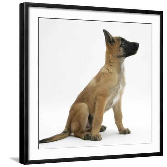 Photographic Print, , large
