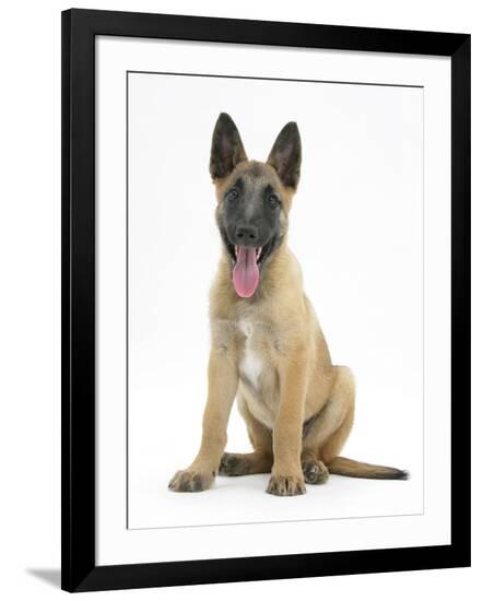 Photographic Print, , large