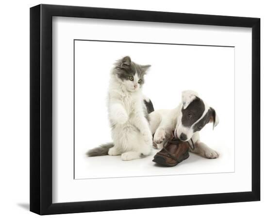 Photographic Print, , large