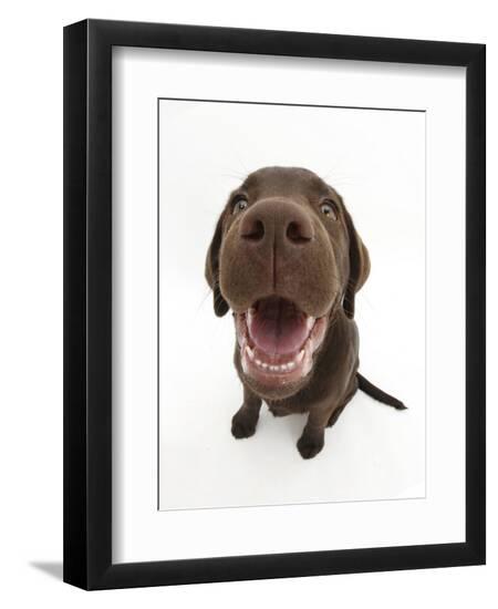 Premium Photographic Print, , large