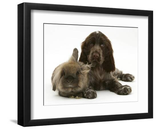 Premium Photographic Print, , large