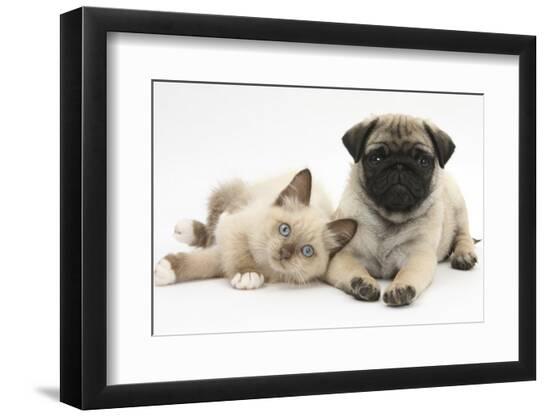 Premium Photographic Print, , large