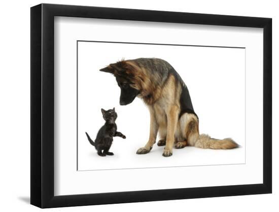 Premium Photographic Print, , large