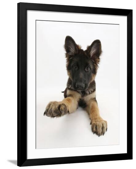 Photographic Print, , large