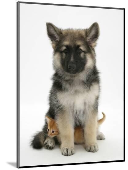 Photographic Print, , large