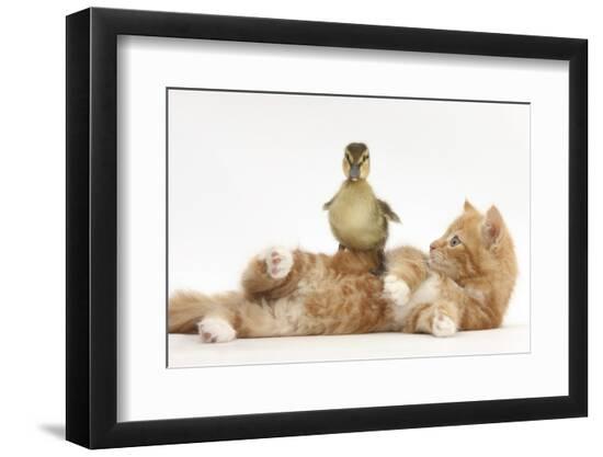Premium Photographic Print, , large