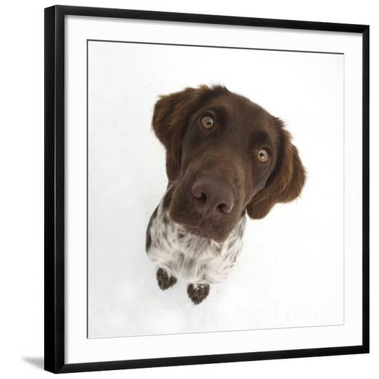 Photographic Print, , large