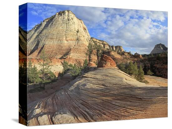 Stretched Canvas Print, , large