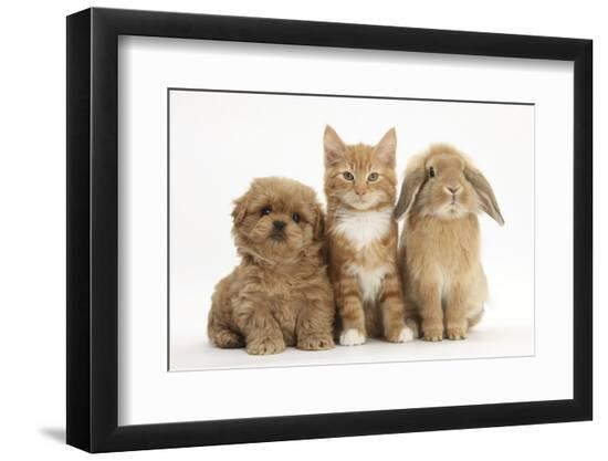 Premium Photographic Print, , large