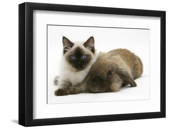 Premium Photographic Print, , large