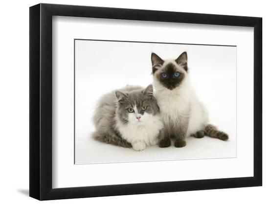 Premium Photographic Print, , large