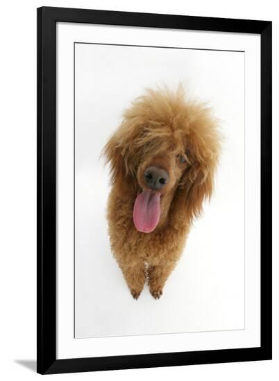Photographic Print, , large