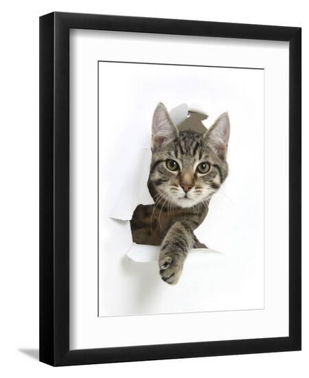 Photographic Print, , large