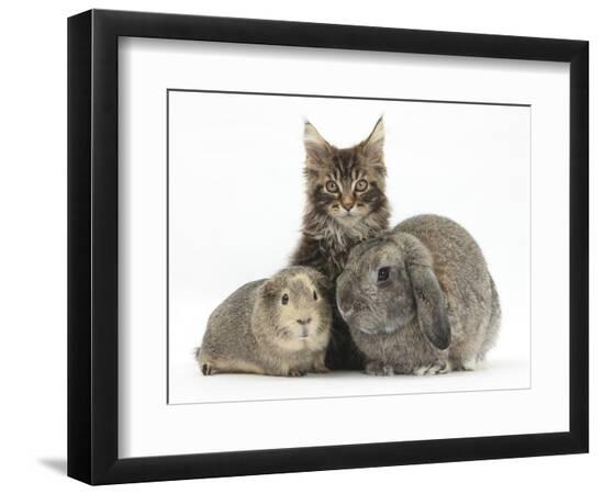 Premium Photographic Print, , large