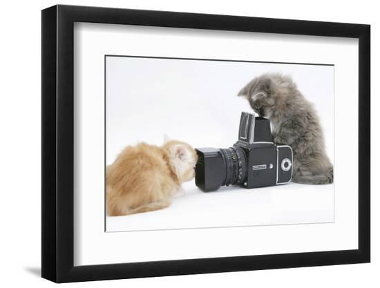 Premium Photographic Print, , large