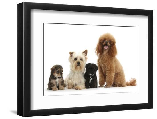 Premium Photographic Print, , large