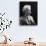 Mark Twain, American Author and Humorist-Science Source-Giclee Print displayed on a wall