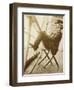 Mark Twain, American Author and Humorist-Science Source-Framed Giclee Print