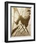 Mark Twain, American Author and Humorist-Science Source-Framed Giclee Print