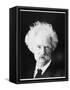 Mark Twain, American Novelist, in His Later Years, C1890S-MATHEW B BRADY-Framed Stretched Canvas