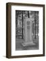 Mark Twain's Grave-Philip Gendreau-Framed Photographic Print