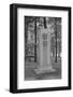 Mark Twain's Grave-Philip Gendreau-Framed Photographic Print