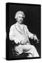 Mark Twain-A.f. Bradley-Stretched Canvas