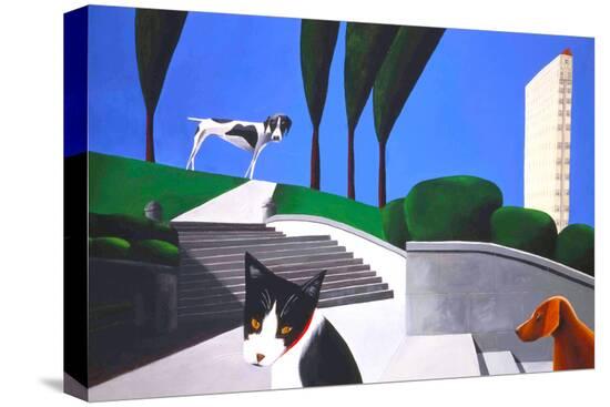 Stretched Canvas Print, , large