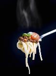 Linguine with a Minced Meat Sauce, Tomatoes and Basil on a Fork-Mark Vogel-Laminated Photographic Print