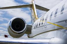 Business Jet-Mark Williamson-Photographic Print