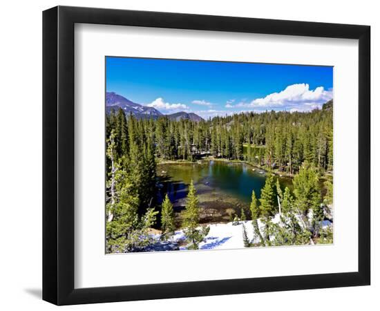 Premium Photographic Print, , large