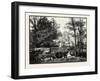 Markeaton Bridge, Uk. Markeaton Is a Village Within Derby in the East Midlands of England-null-Framed Giclee Print