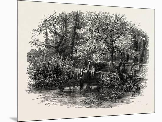 Markeaton Brook, the Dales of Derbyshire, Country, UK, 19th Century-null-Mounted Giclee Print