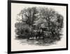 Markeaton Brook, the Dales of Derbyshire, Country, UK, 19th Century-null-Framed Giclee Print